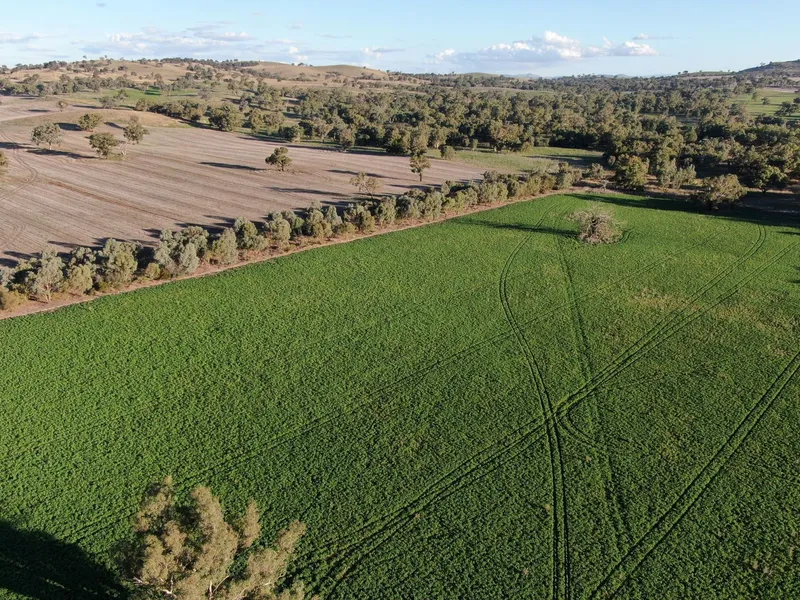 Versatile mixed-farming operation - Part Bobbara Station