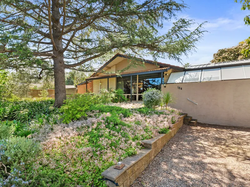 Family Friendly Entertainer