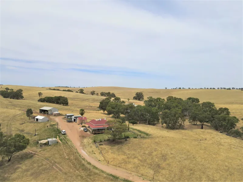 Reliable Hills Grazing