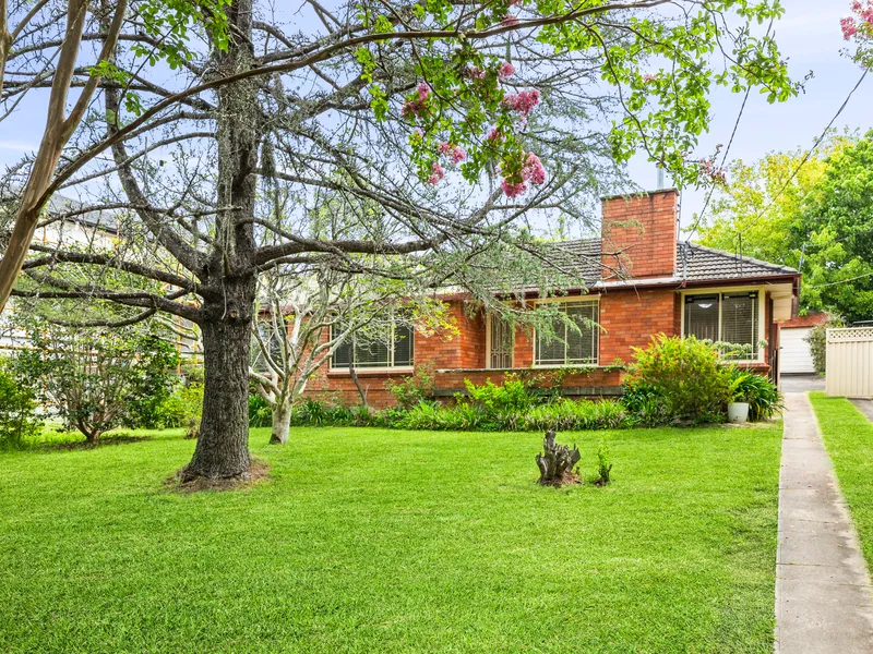 Huge, Level, Grassy Block with Classic, Single Level Home