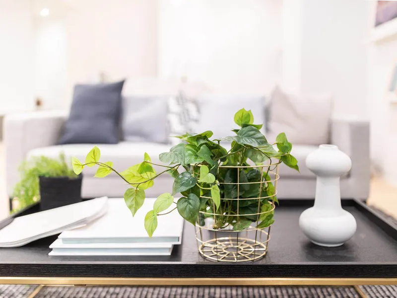 Brand new Luxurious apartment with tranquil and wonderful design