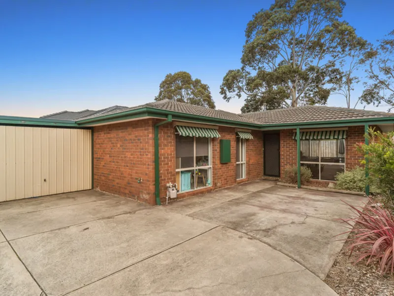 Your Perfect Canvas Awaits