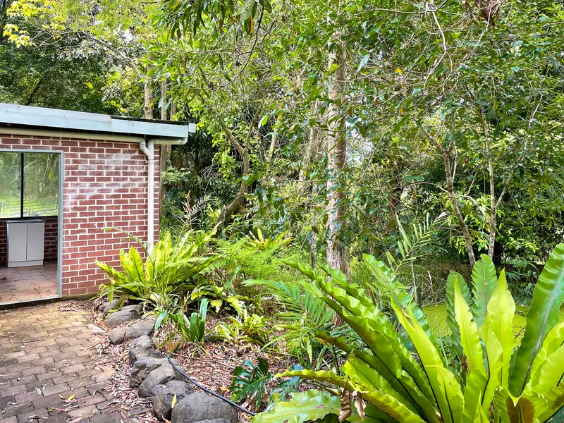 Renovators Rainforest Delight - NEW PRICE!