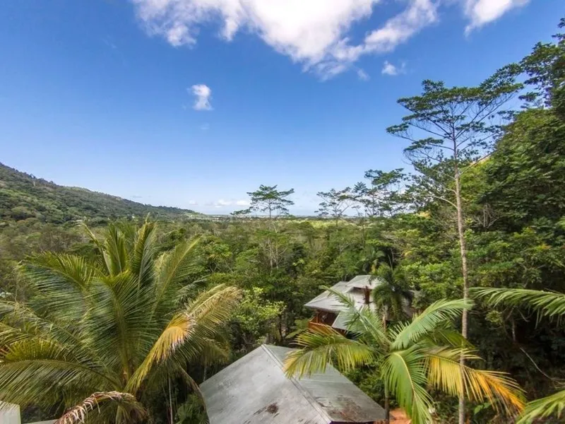 ELEVATED RAINFOREST LAND