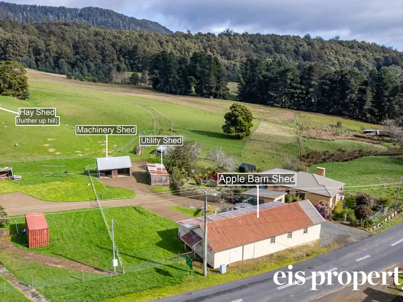 Options Galore including Superb Apple Barn
