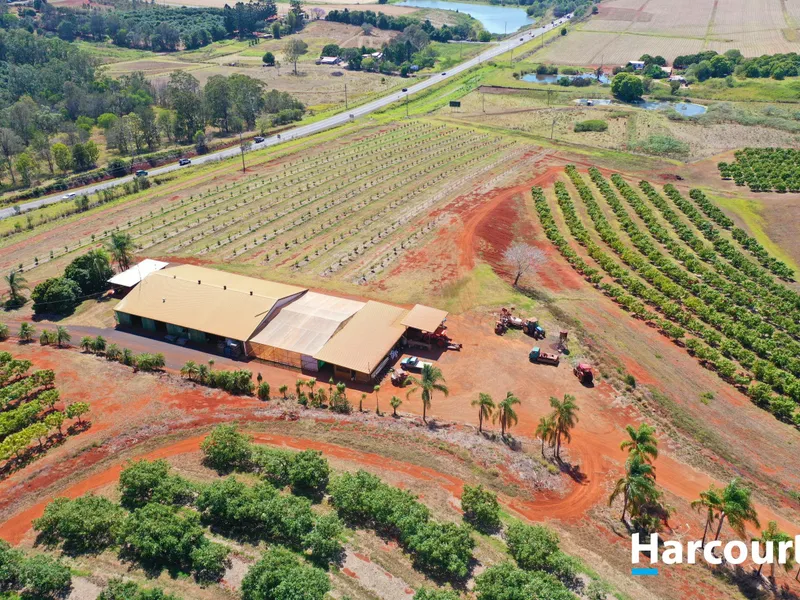 - AVOCADO HILL - 137 ACRE ESTABLISHED ORCHARD