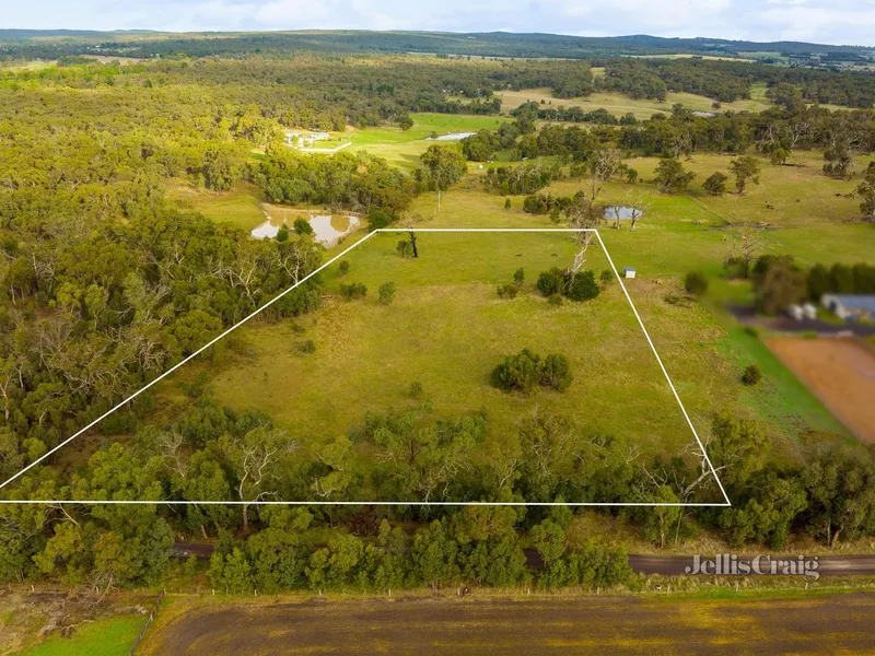 5 Acre Horse Property a Stone’s Throw From the Golf Course – What More Could You Want