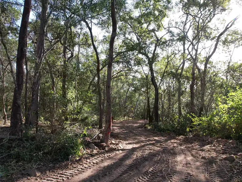 4.4 ACRES* OF PRISTINE VACANT LAND