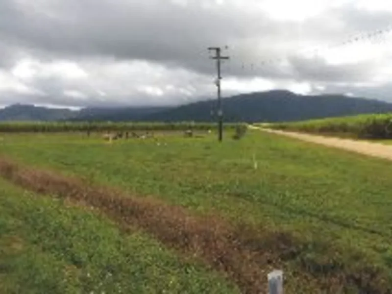 CORNER 1,012 SQ.M. BLOCK IN RURAL AREA !
