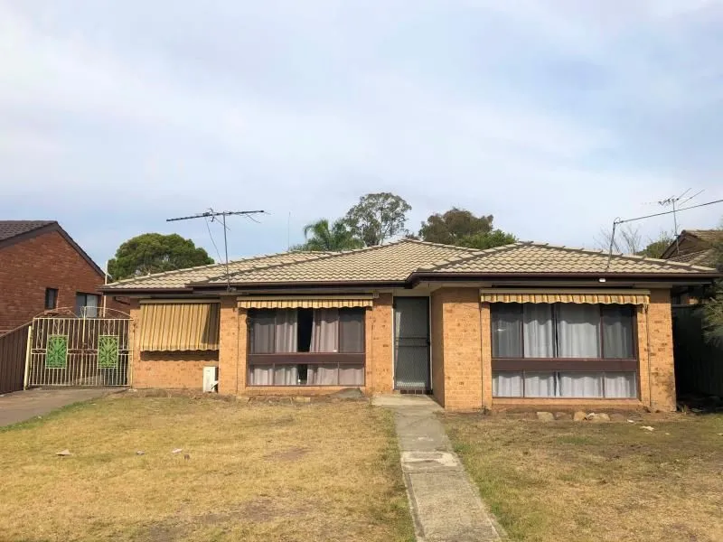 Freshly painted - 3 Bedroom Home