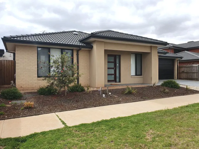 Low Maintenance living!