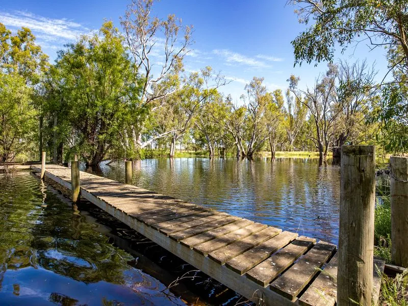 Benalla - Perfect get away or rural entry. 50 acres with cottage and shedding 2 hours from Melbourne.