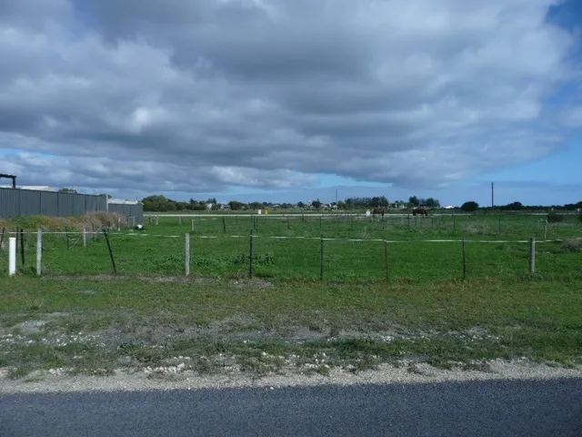 Don't Hesitate, Fantastic Entry Price