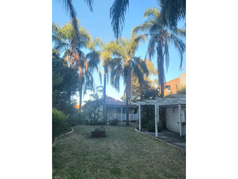 A Taste of Paradise in a Busy Suburban City !!!