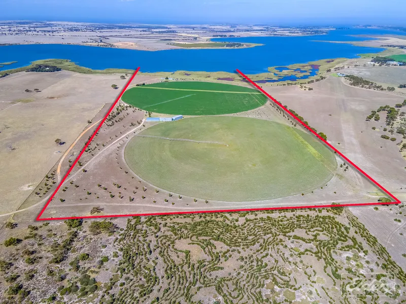 Waterside Paradise on 80 Acres