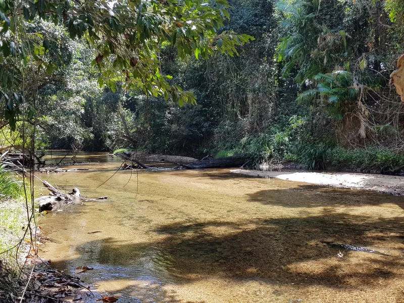 Lovely rural lifestyle retreat with creek frontage & a spacious four bedroom residence with 4 bay shed