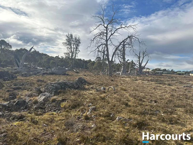 Large and Flat Building Lot!