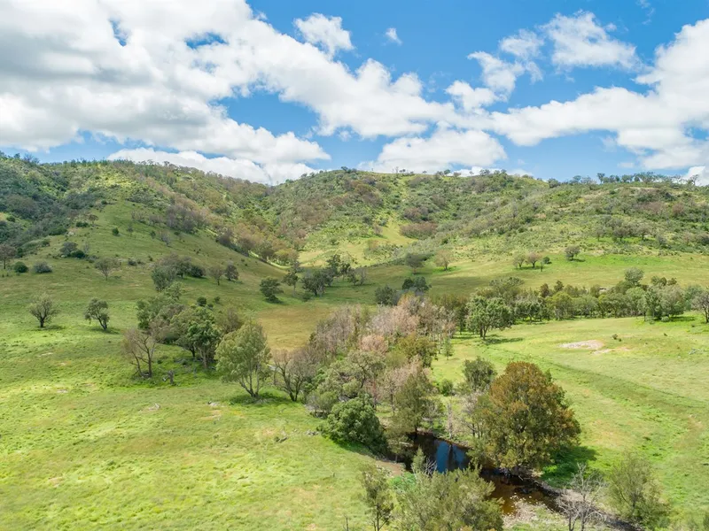 Chasing a return on investment?