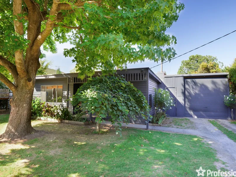 A LITTLE SOMETHING FOR EVERYONE