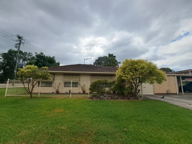 A New Year's Special