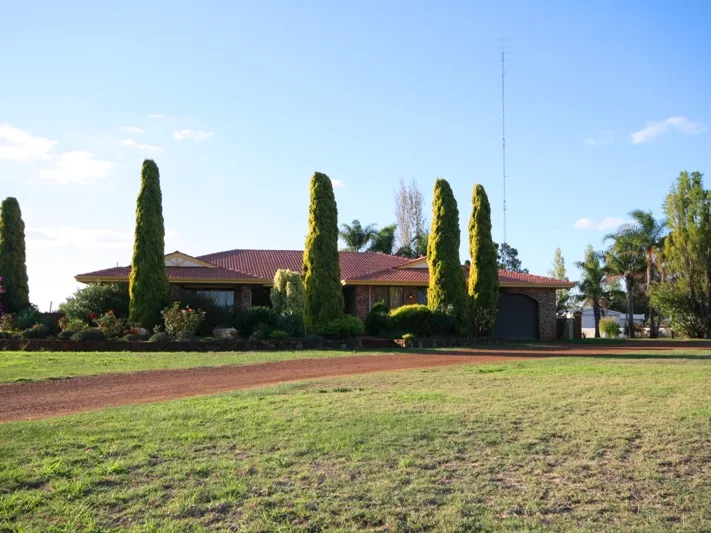 A Mini Farm on City's Door Step