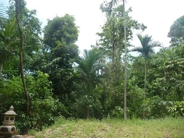 D-lightful, D-sirable - D-best !