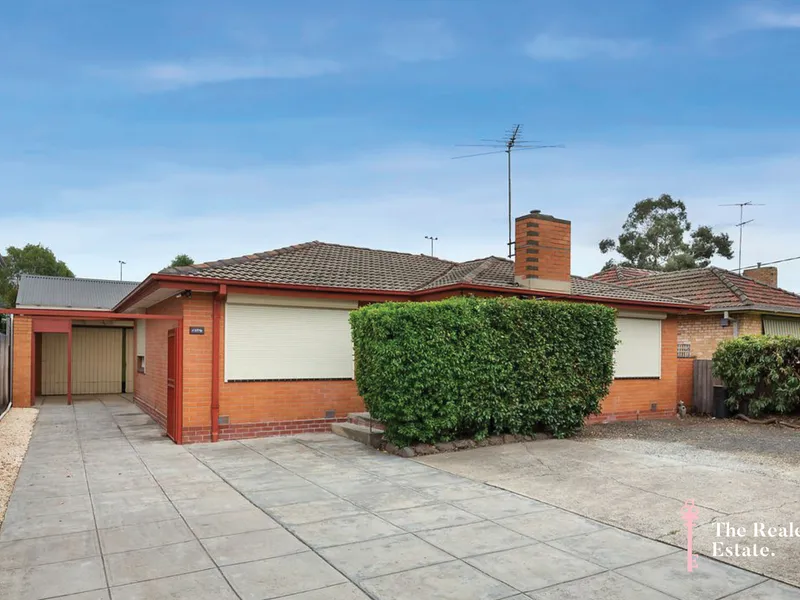 Neat, Tidy & In The Zone!