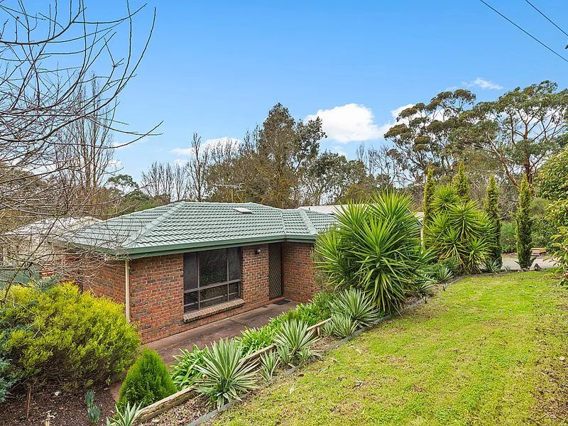 Under Instructions Must Be Sold