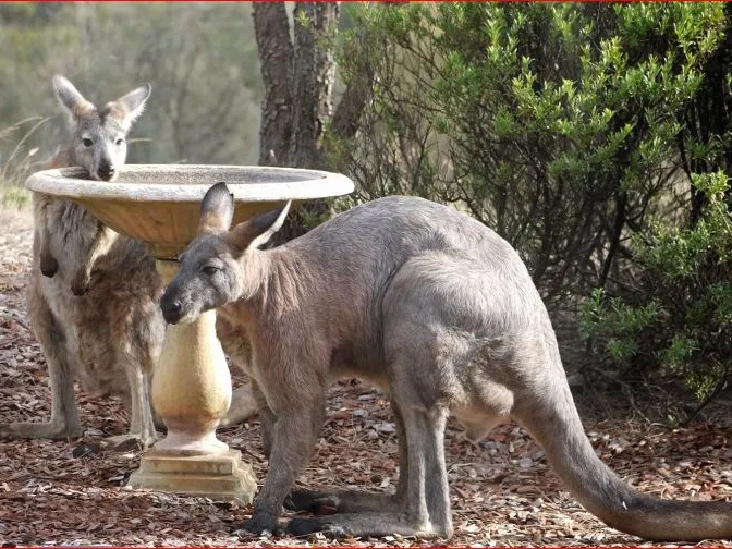 Sea for Miles & Get Close To Nature