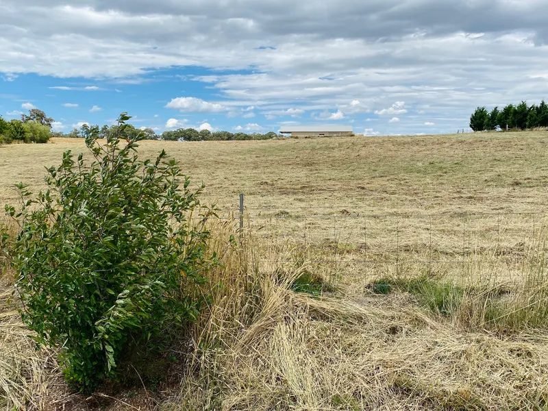 BLANK CANVAS NEAR MILLTHORPE