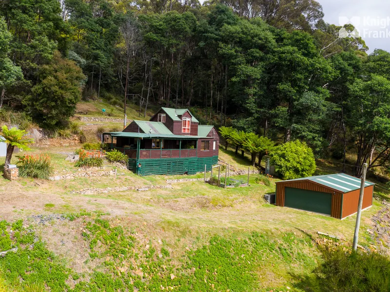 Blue Derby Trail Head Views
