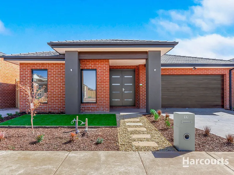 A Beauty in Thornhill Park!