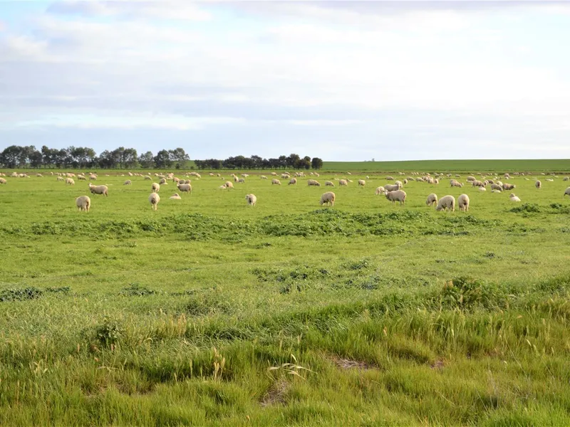 Northern District - Mixed Farming   1500 Acres (approx)