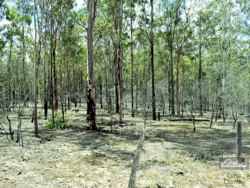 TREE CHANGE ON 30 ACRES!