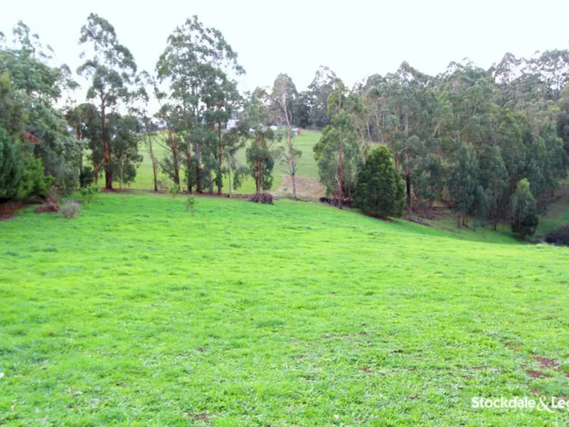 5 ACRES WITH PLANNING PERMIT