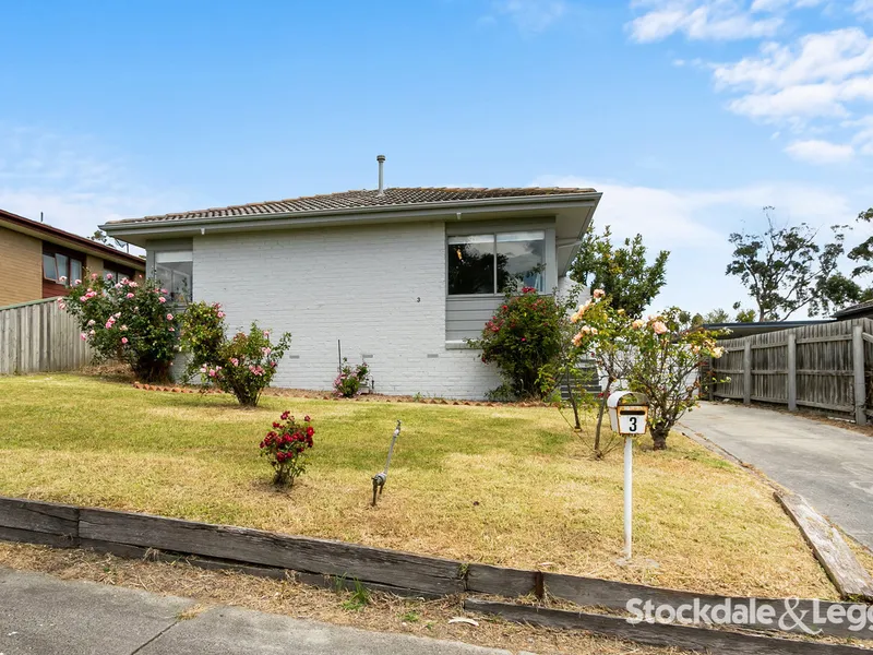 3 Bedroom Home Renovated Throughout!