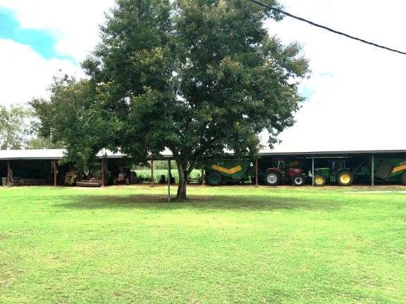 HOME AND SHED ON PRIVATE ACREAGE