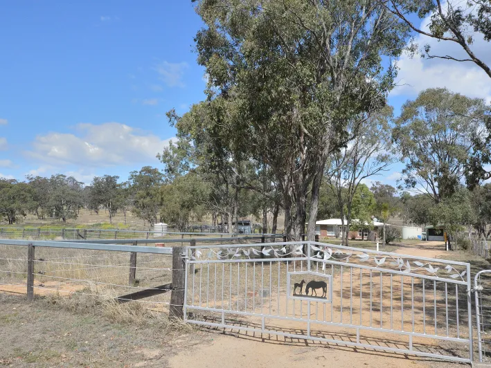 Great Horse Property