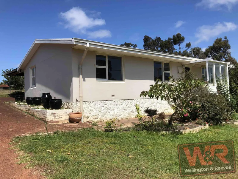 Room to move and play