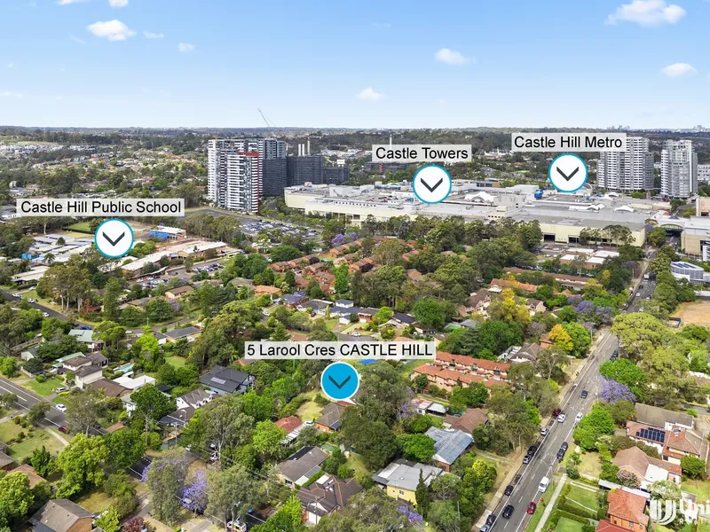 One of the Last Opportunities