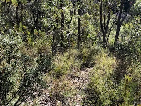 Vacant Land Close to Town