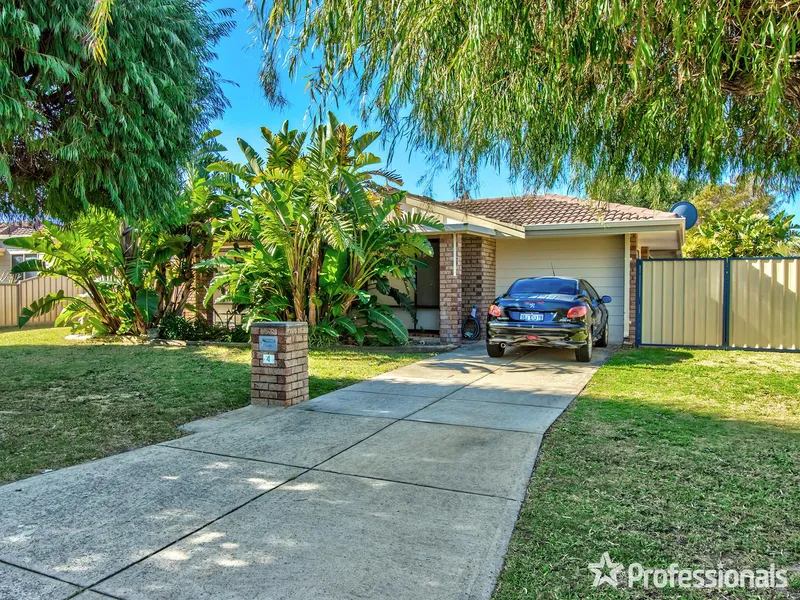 3 x 2 WAIKIKI WONDER