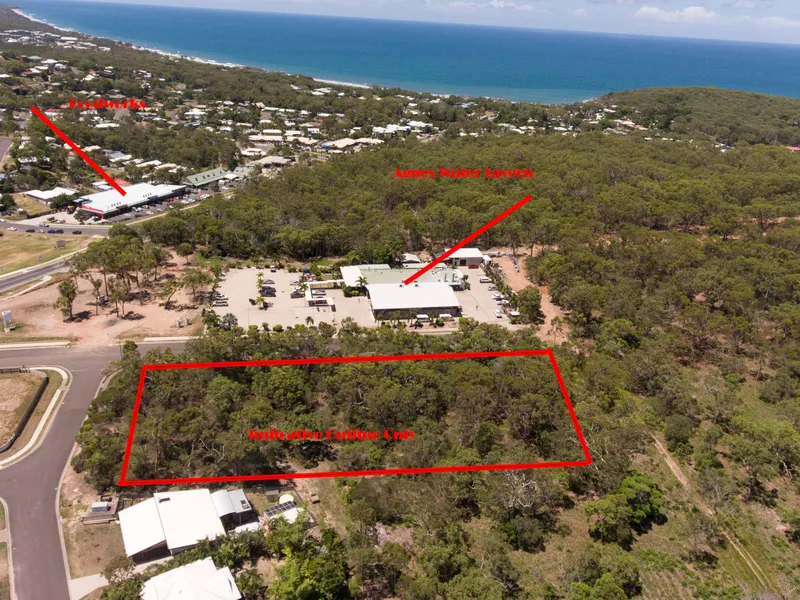 BETTER THAN BITCOIN ?