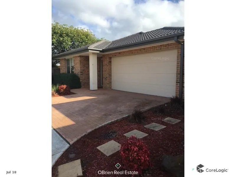 Modern, Light & Bright