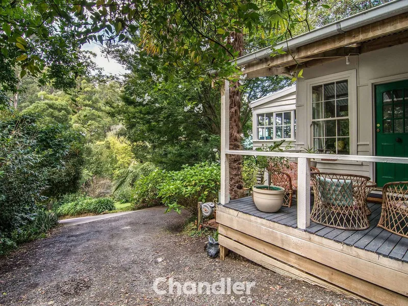 AN ABUNDANCE OF CHARACTER AND HILLS CHARM