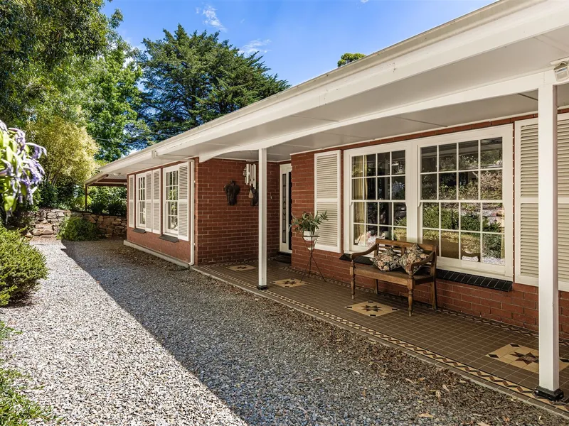 Enjoy Life in The Hills