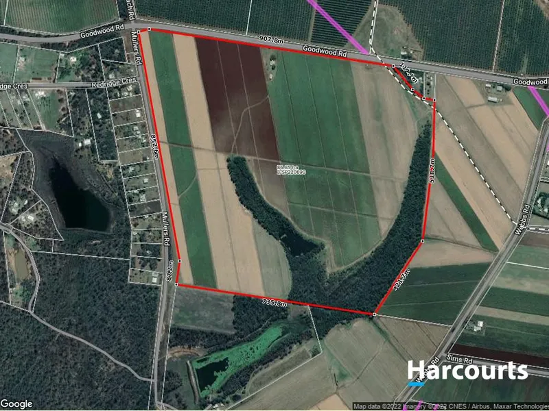 62.5HA OF CULTIVATION IN THE BUNDABERG REGION