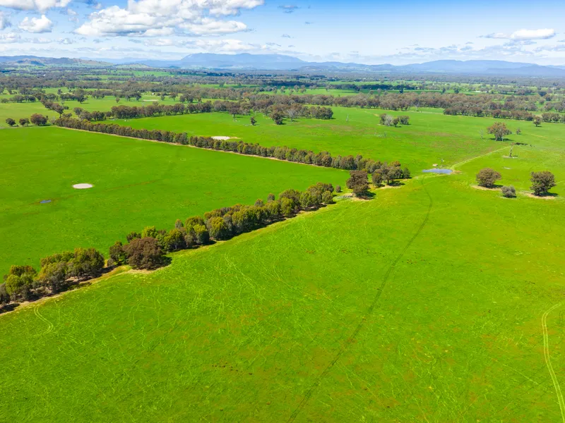 Central Location - Grazing, Cropping, Development