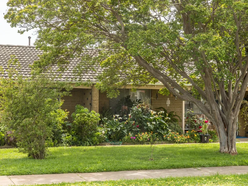 Quiet and cozy 1 Bedroom Unit!