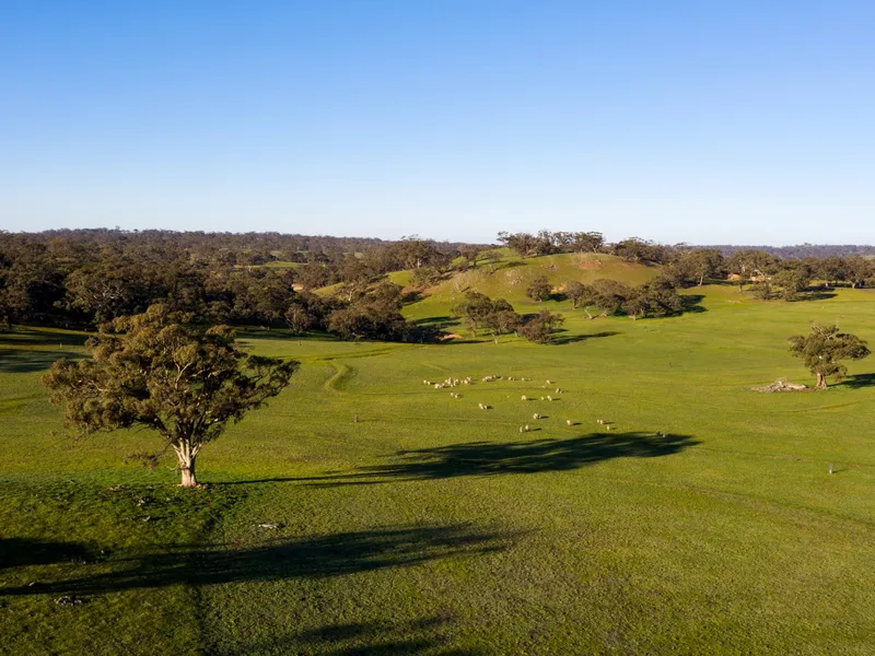 Karinya Station – Substantial Barossa Grazing Property with Historic Homestead